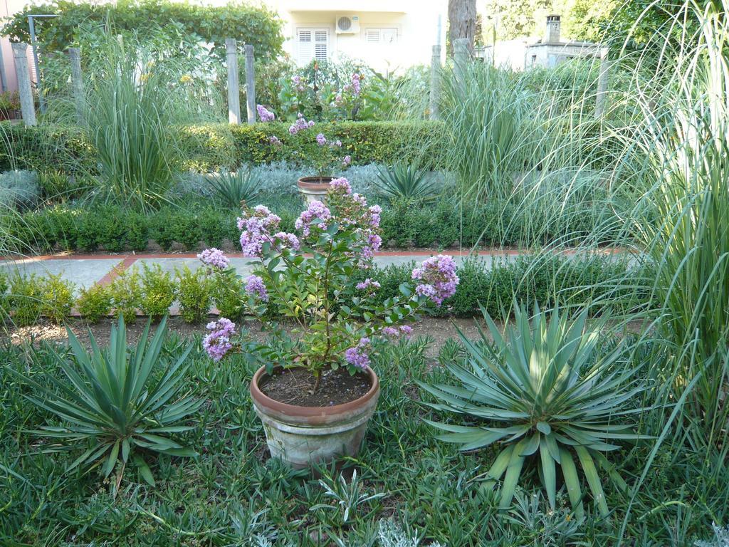 Bed And Breakfast La Villa Lopud Room photo